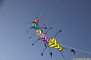 32 FESTIVAL CERVIA 2012 - 062
